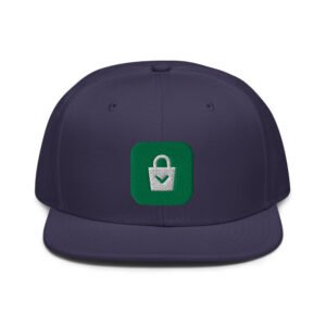 Embroidered Logo Snapback