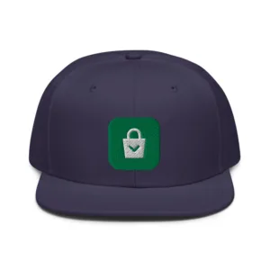 Embroidered Logo Snapback